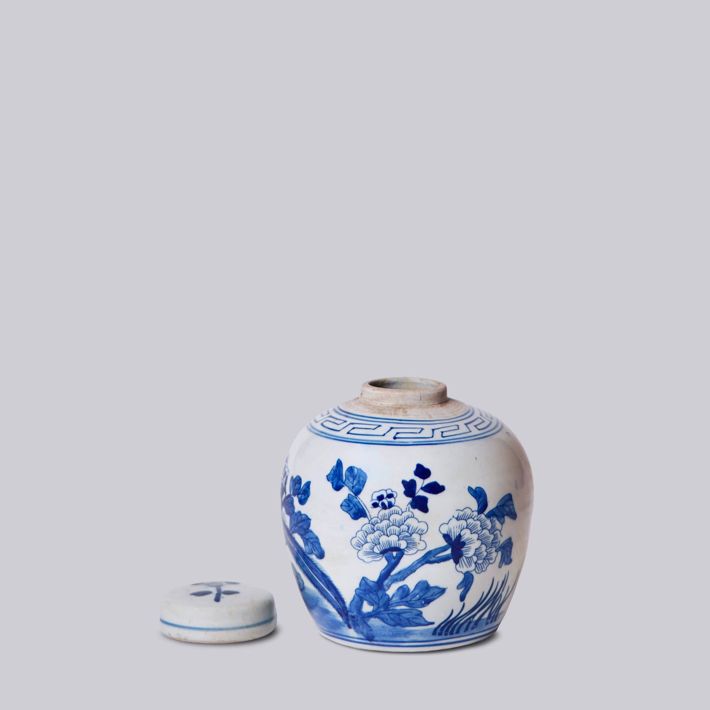Blue and White Porcelain Pheasant Ginger Jar