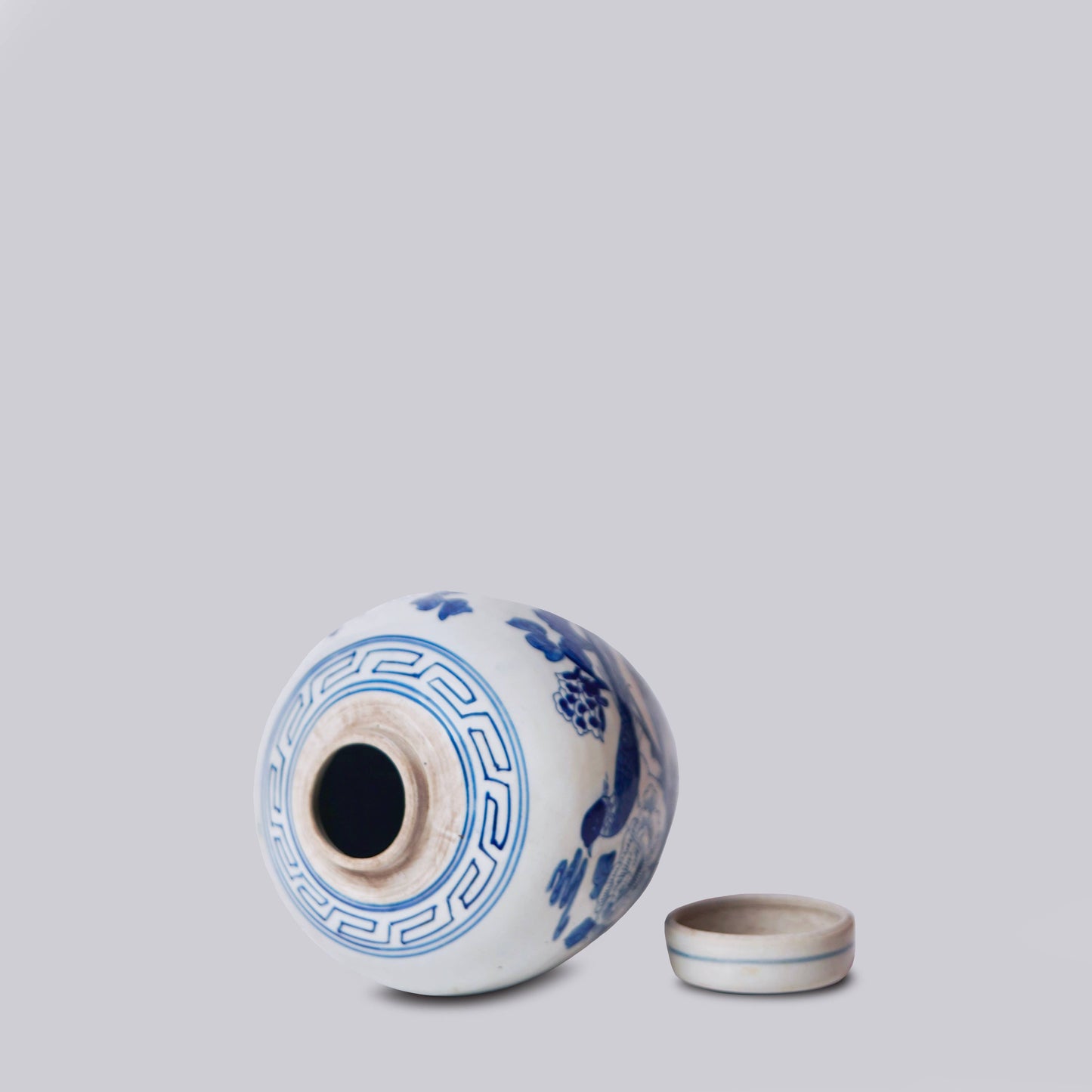 Blue and White Porcelain Pheasant Ginger Jar