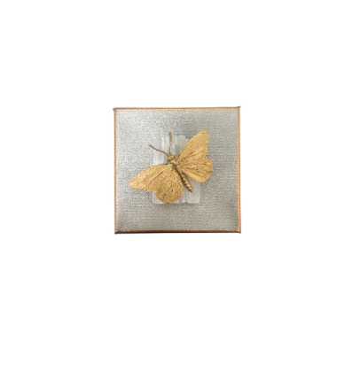 Selenite Butterfly - 4x4