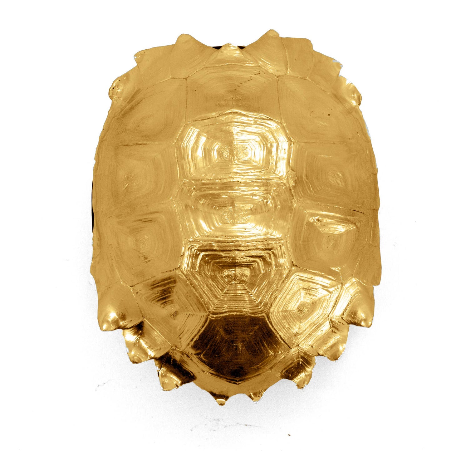 Gold Turtle Shell Box
