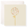 Balloon Gift Enclosure