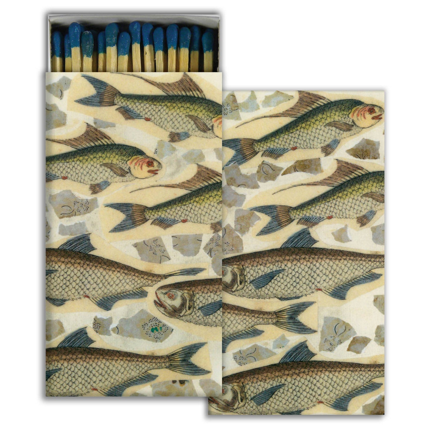 Match - Fish School