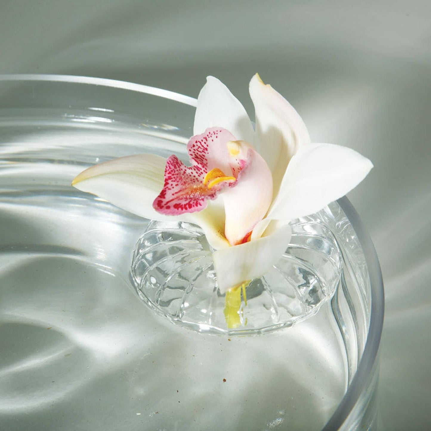 Flower Floater - Clear