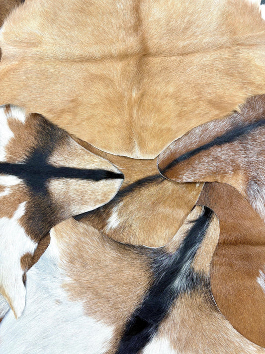 Small Goat Hides - Many Styles