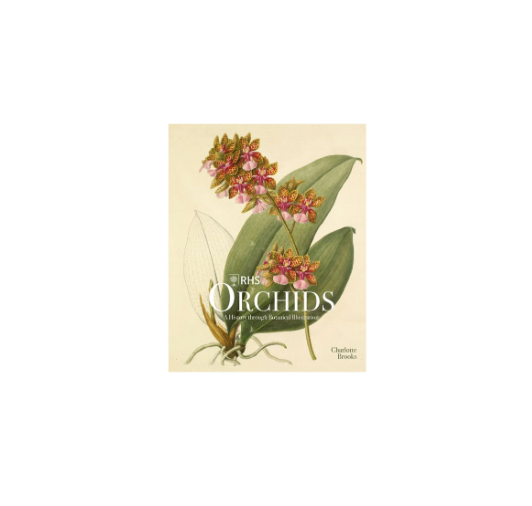 Orchids Coffee Table Book