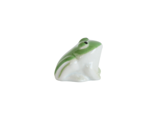 Floating Frog