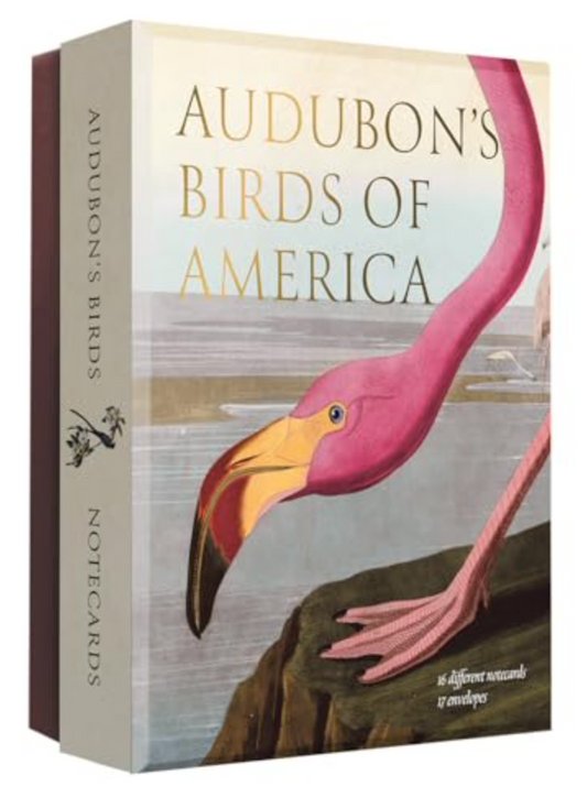 Audubon's Birds of America: An Abbeville Notecard