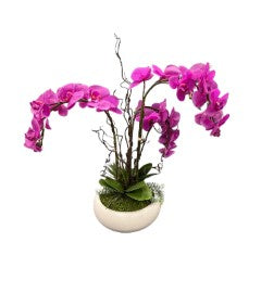 Verona White Bowl Orchid