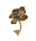 Champagne Flower