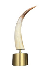 Horn Sculpure