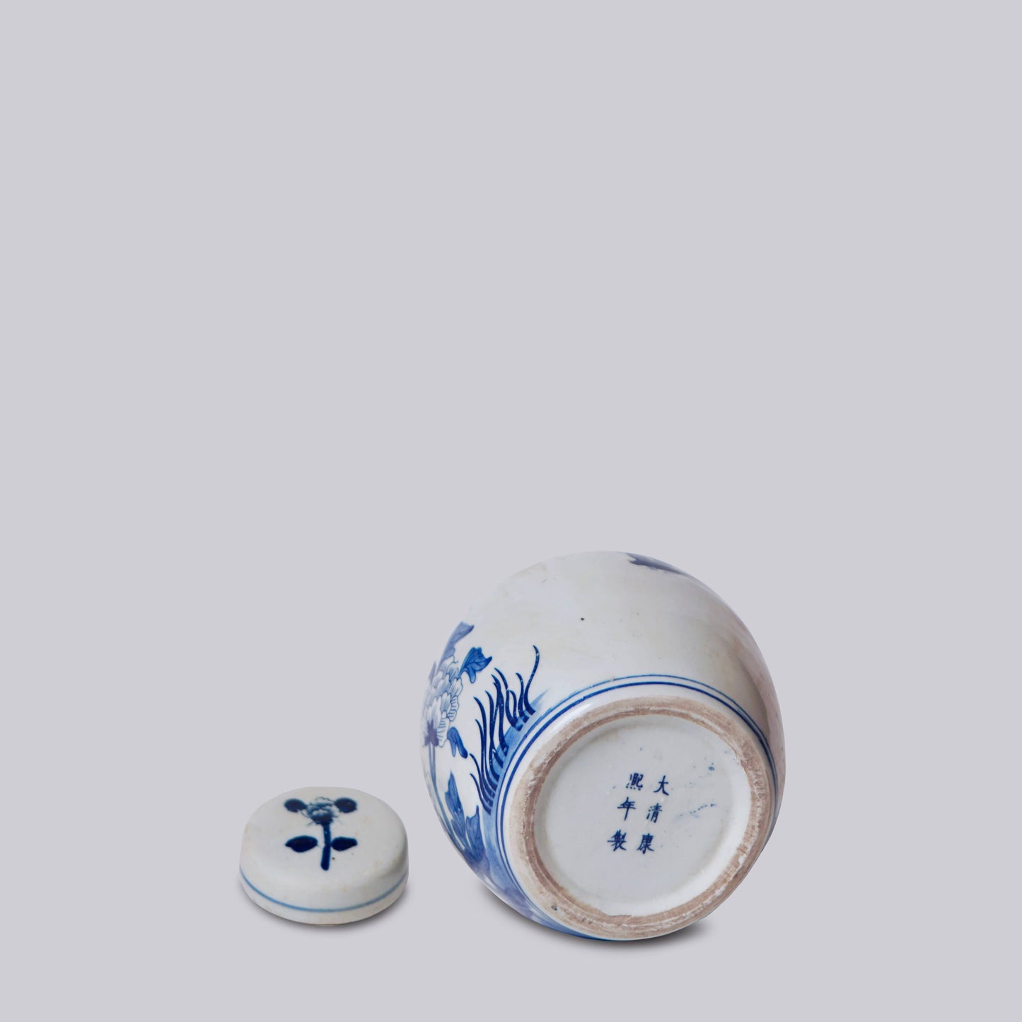 Blue and White Porcelain Pheasant Ginger Jar