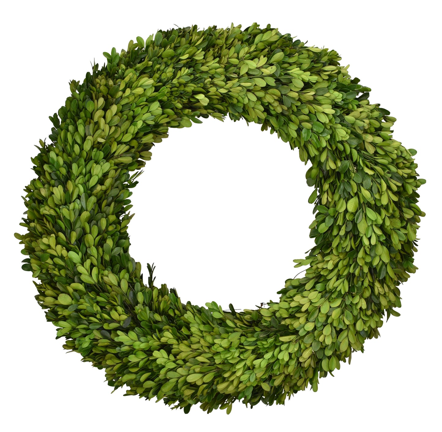 Preserved Boxwood Round 20” Wreath