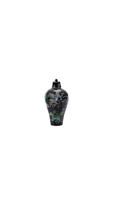 Black Hex Lion Vase