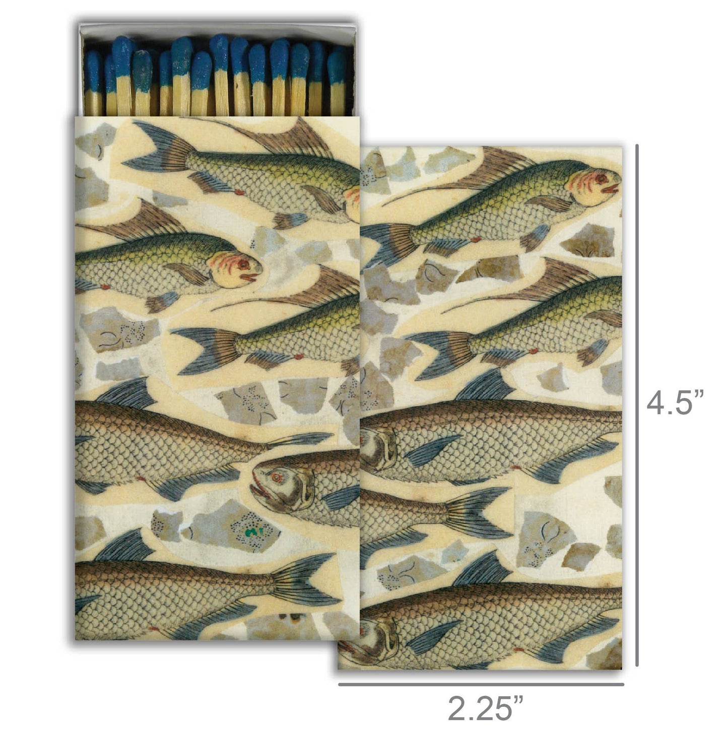 Match - Fish School