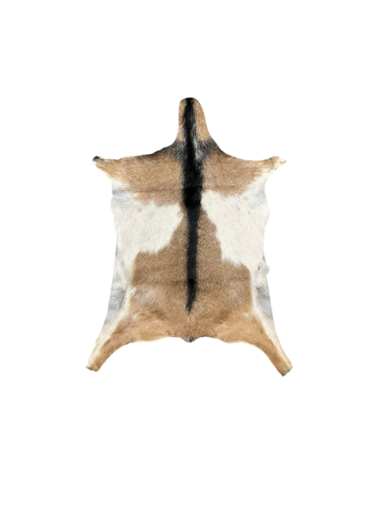 Small Goat Hides - Many Styles