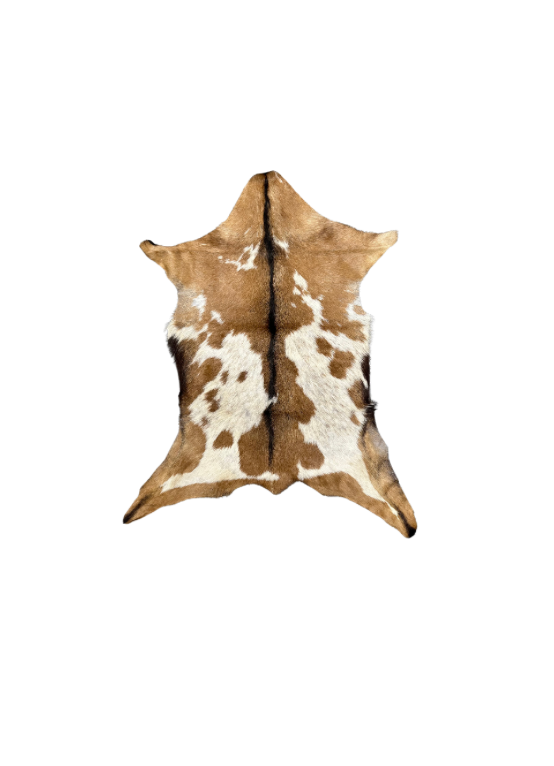 Small Goat Hides - Many Styles
