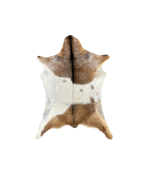 Small Goat Hides - Many Styles