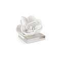 White Magnolia