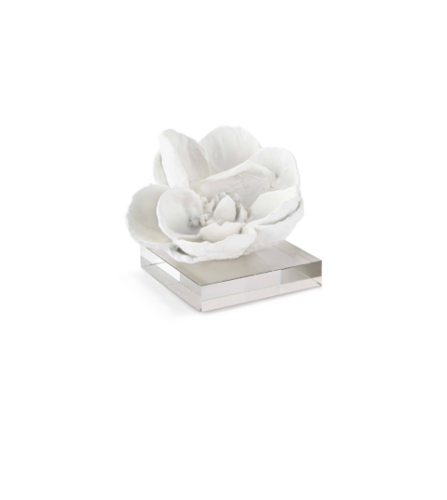 White Magnolia